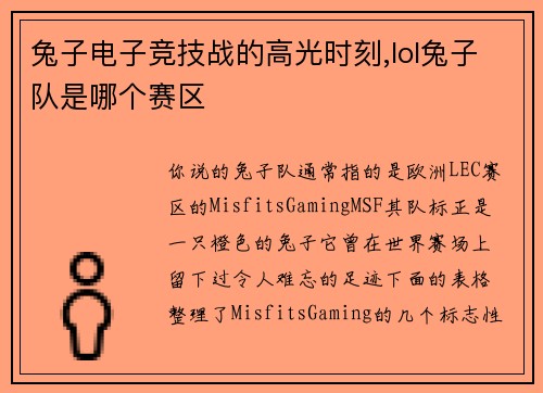 兔子电子竞技战的高光时刻,lol兔子队是哪个赛区